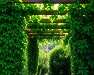 Pergola bepflanzen: Die besten Kletterpflanzen für Schatten