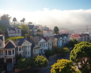 San Francisco: Entdecken Sie die malerischen Viertel und Hügel