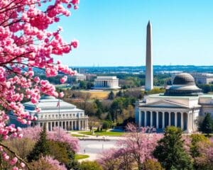 Washington D.C.: Historische Monumente und Museen der Hauptstadt