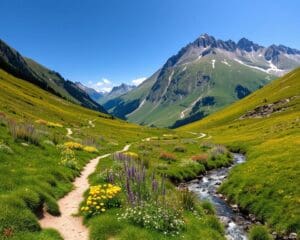 Wanderrouten in Vorarlberg: Natur hautnah