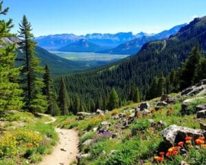 Denver: Welche Wanderwege beginnen direkt vor der Stadt?
