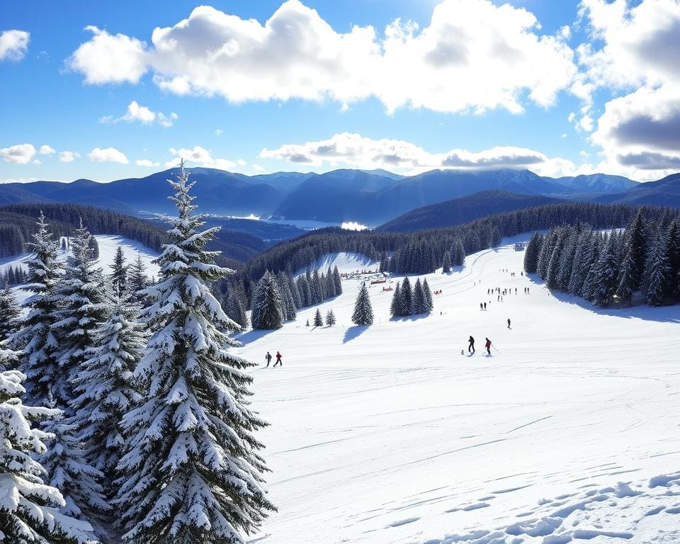 Feldberg: Schwarzwald trifft auf Schneespaß