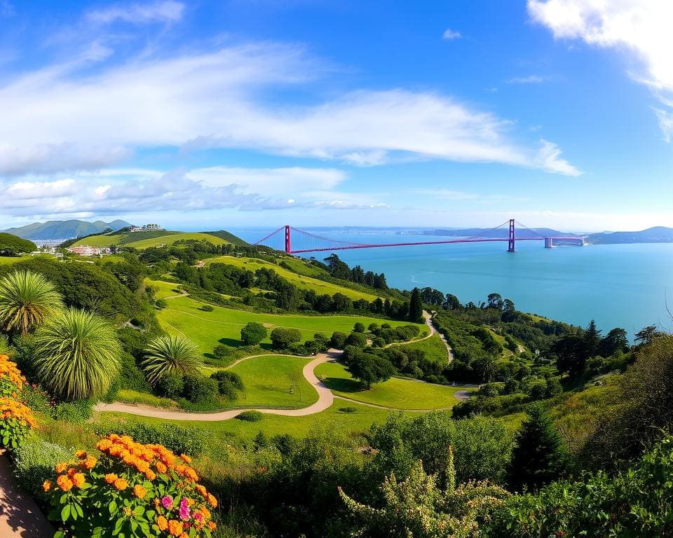 Panoramablick über den Golden Gate Park und Crissy Field