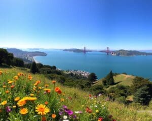 San Francisco: Welche Parks bieten die beste Aussicht auf die Bay?