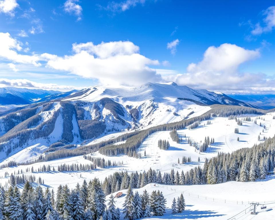 Schneesicherheit Les Arcs