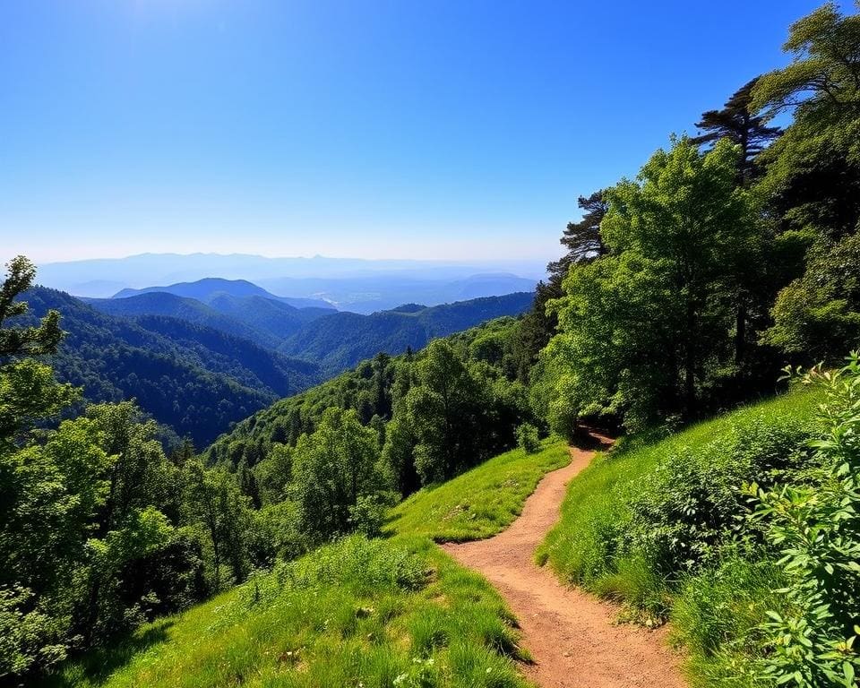 Wie Wandern den Geist befreit