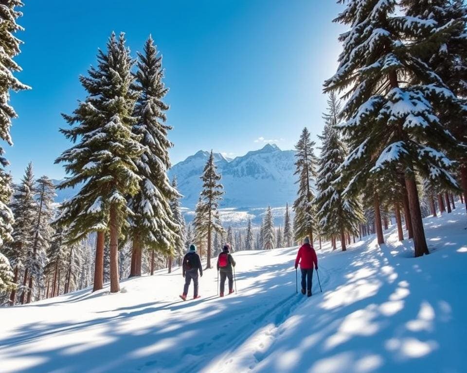 Schneeschuhwandern in Flims-Laax