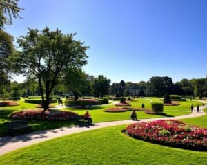 Malmö: Welche Parks sind ideal für einen Nachmittagsspaziergang?