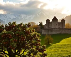Mals – Kastanien, Burgen und Berge 🇮🇹