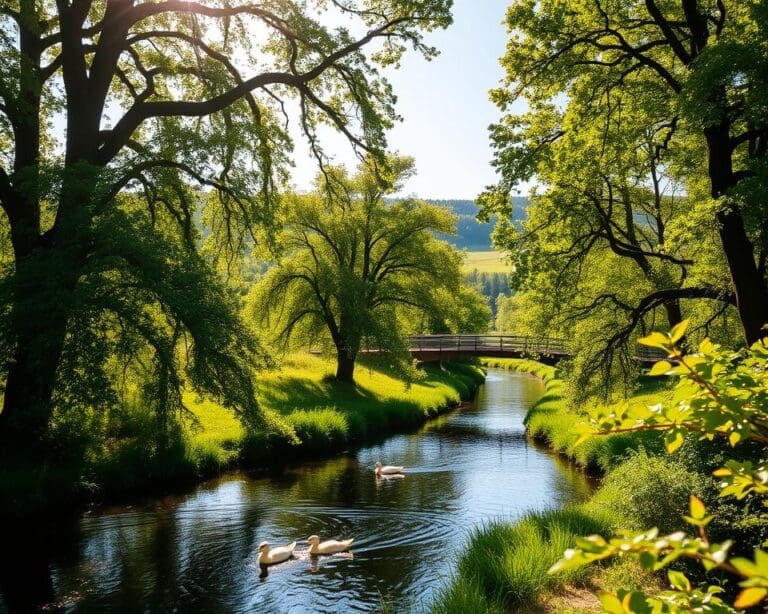 Was bietet Meppen für Naturfreunde?