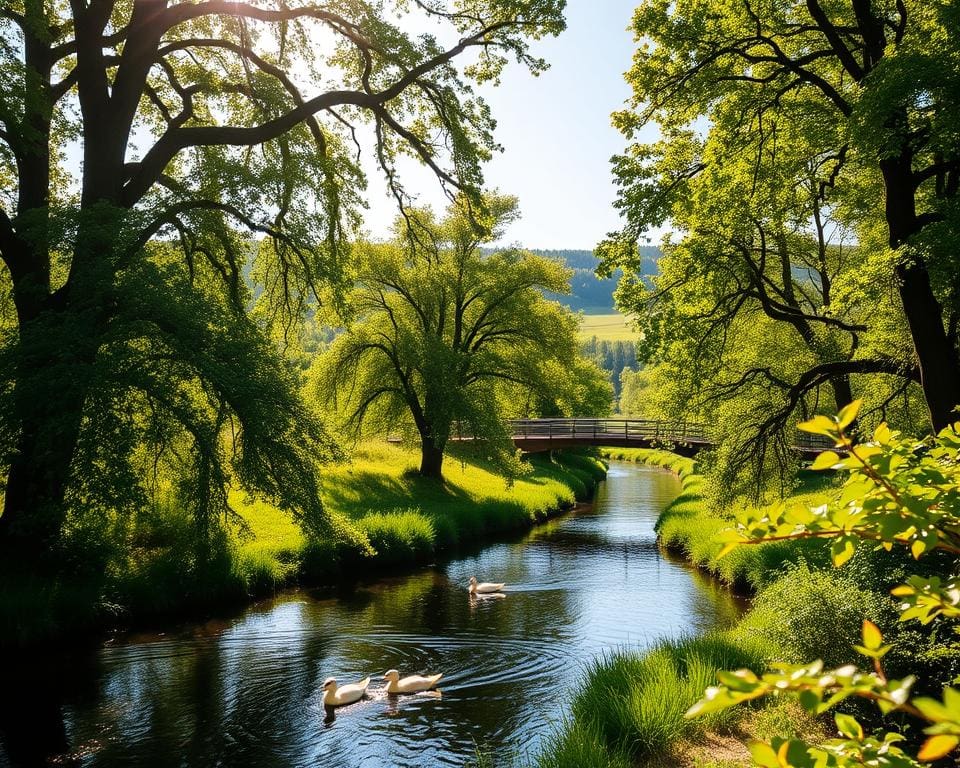 Was bietet Meppen für Naturfreunde?