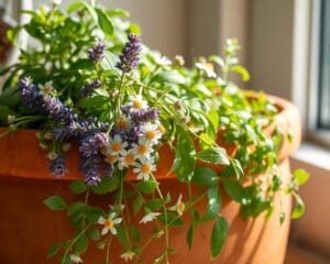 Welche Kräuter helfen beim Entspannen?