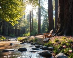 Wie unterstützt Natur Zeit deine Regeneration?