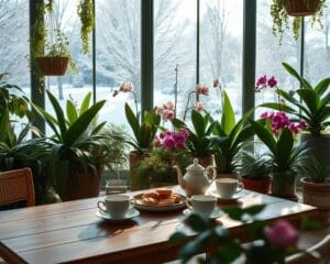 Warum sind Wintergärten beliebt?